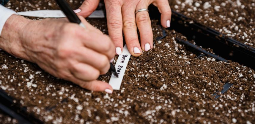 Creativity & Sustainability